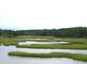 New Meadows at Old Bath Road