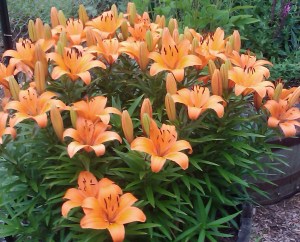 Spring Real Estate Market in Brunswick ME