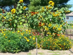 Brunswick Maine 04011