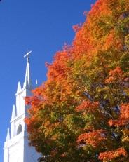 Fall Foliage in Bath Maine