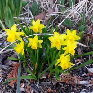 Spring Real Estate Market - Bath ME 04530